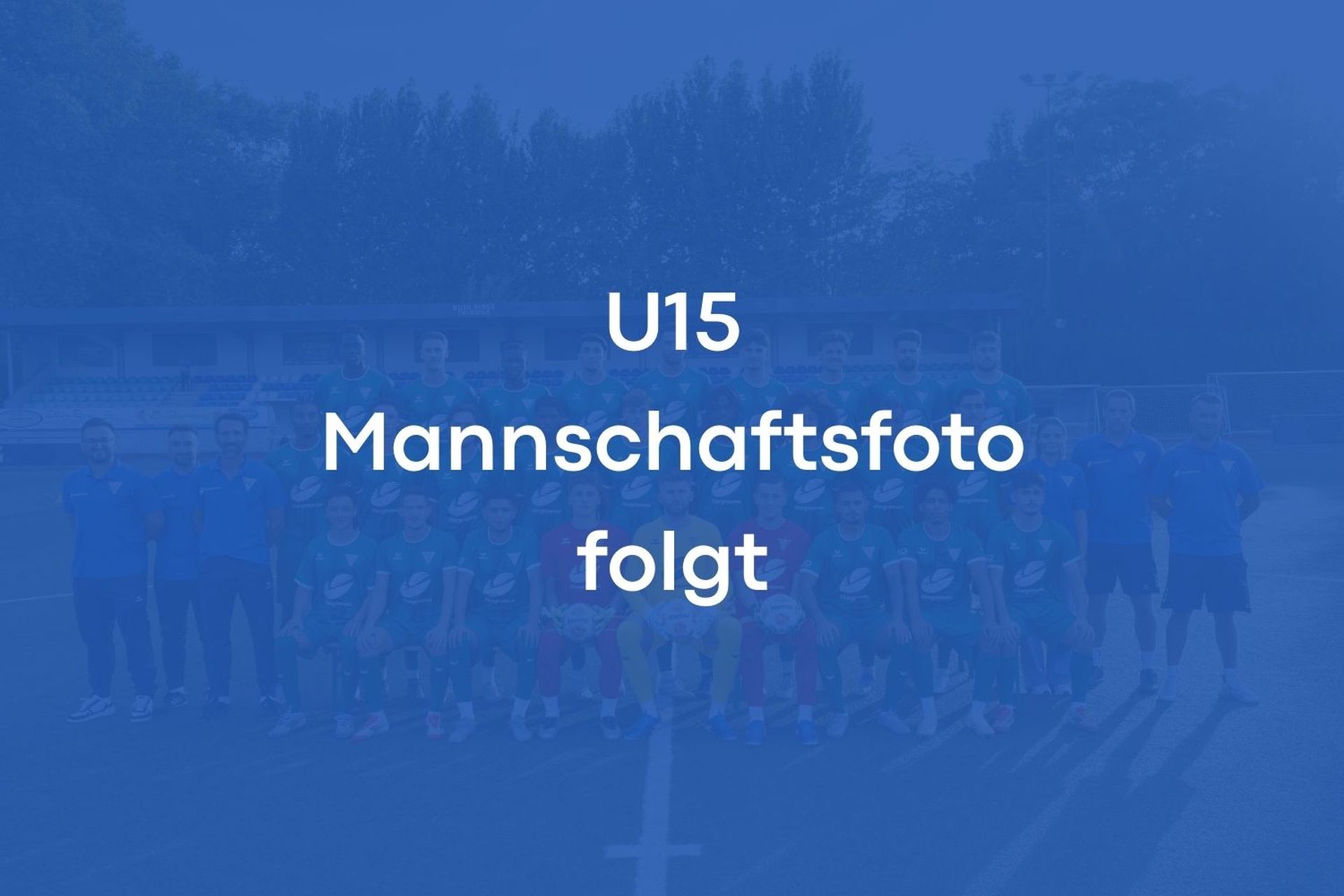 Mannschaftsfoto U15-Junioren
